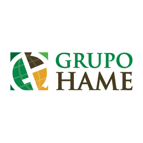 Grupo Hame